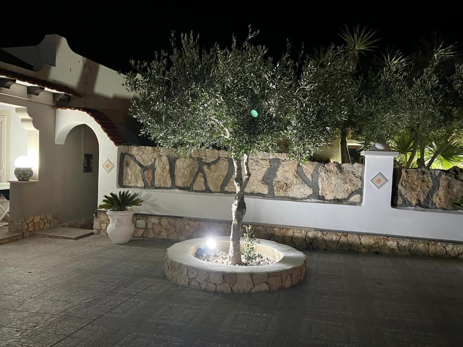 Mimma House * Lampedusa