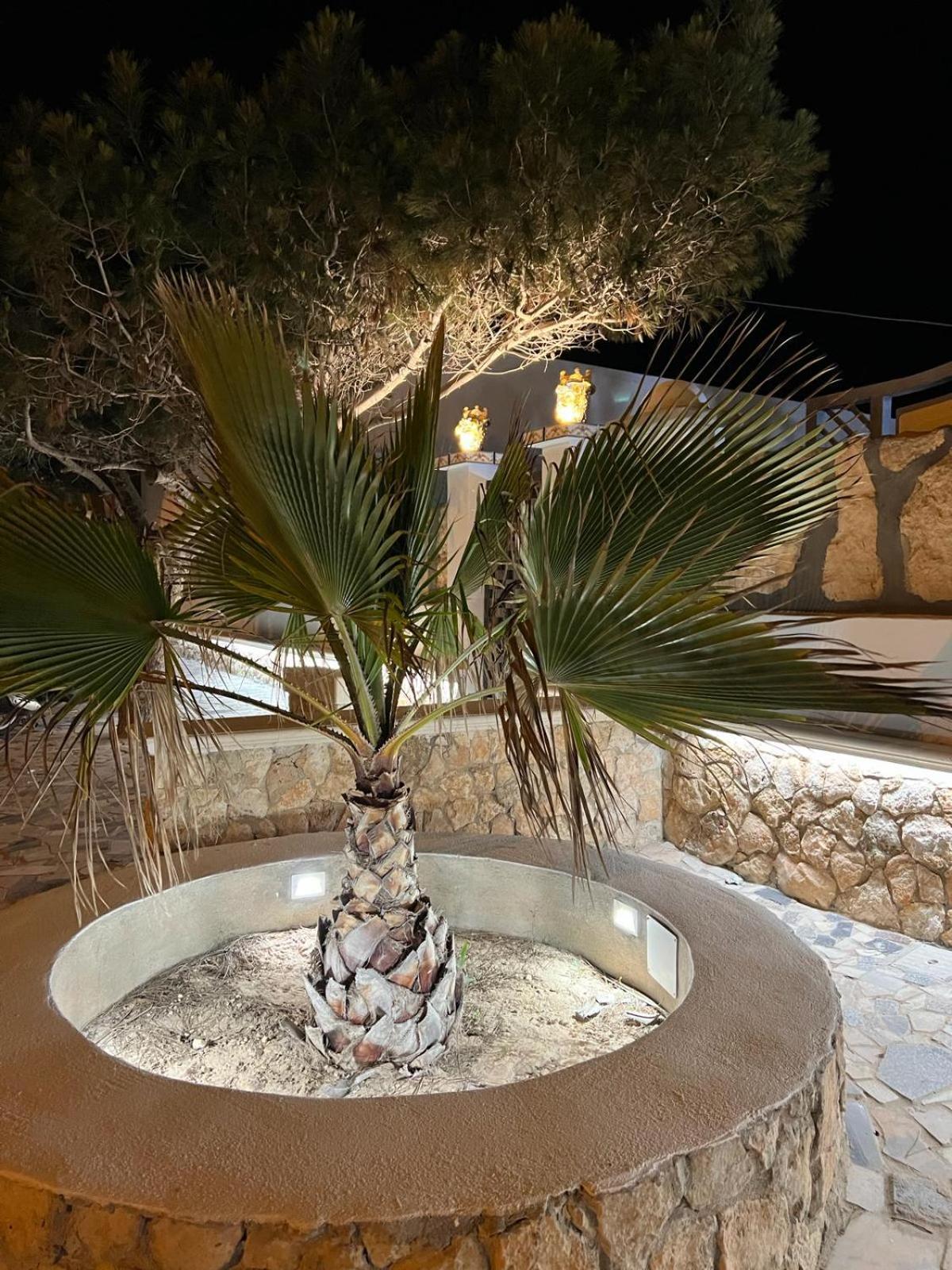 Mimma House Apartment Lampedusa
